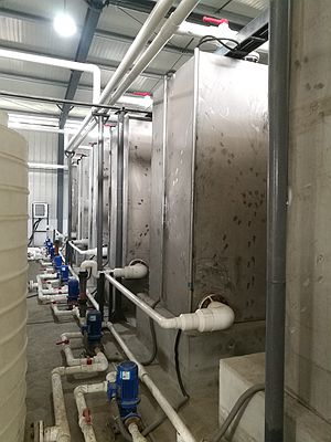 長沙湘麓環(huán)?？萍加邢薰?長沙湘麓臭氧機,長沙食品廠臭氧消毒機,長沙臭氧發(fā)生器,污水處理臭氧設備